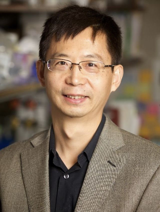 Kun Zhang, Ph.D. Professor Department of Bioengineering University of  California, San Diego Title: Constructing Single-Cell Maps of Human Organs, Department of Bioengineering