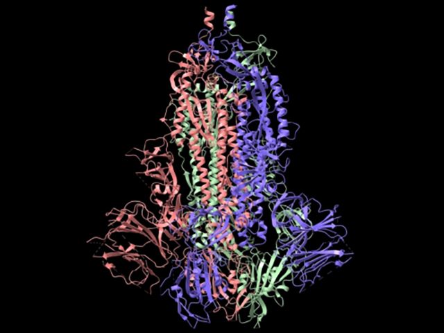 Image of SARS COV 2 Spike-Glycoprotein Istock UC Santa Barbara