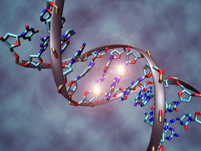 A double helix DNA strand with two white glowing spheres in the center of the strand.