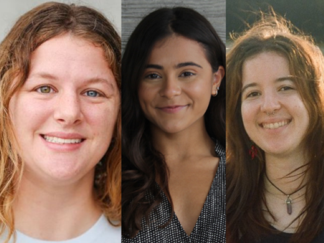 Connie Frank Fellowship Winners