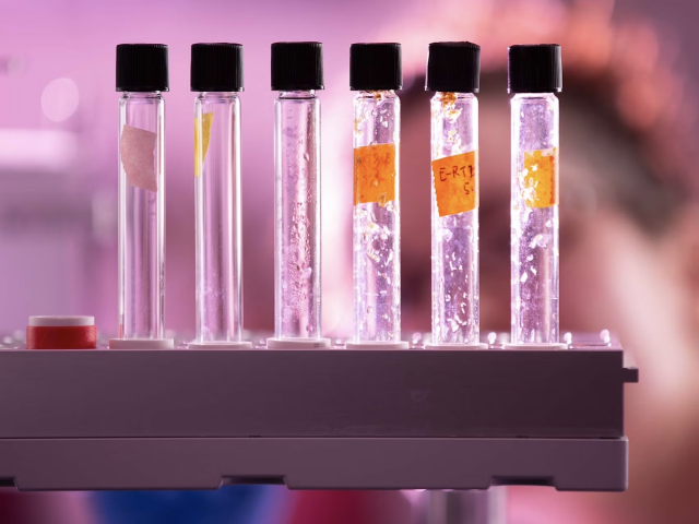 Image Credit: Matt Perko